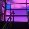 Purple - Image 3